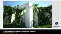 Thumbnail for Ivy generator or Ivygrower plugin for C4D. - shop.designhero